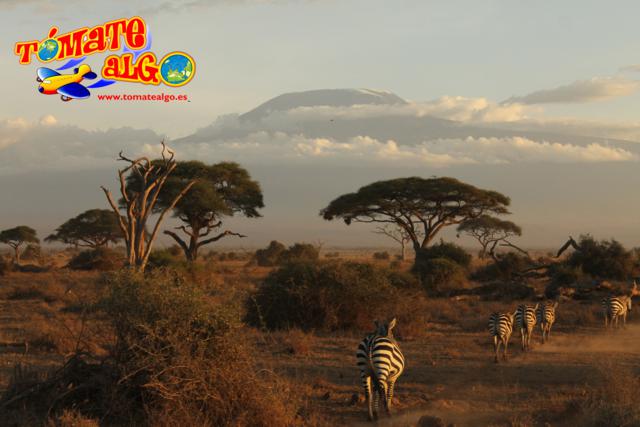 El Parque Natural de Amboseli y el Monte Kilimanjaro