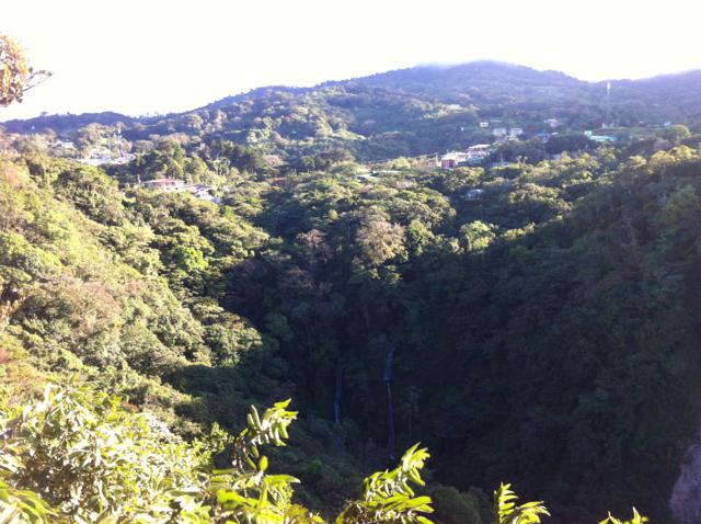 Monteverde en el amanecer