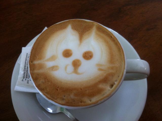 Gato dibujado en el café