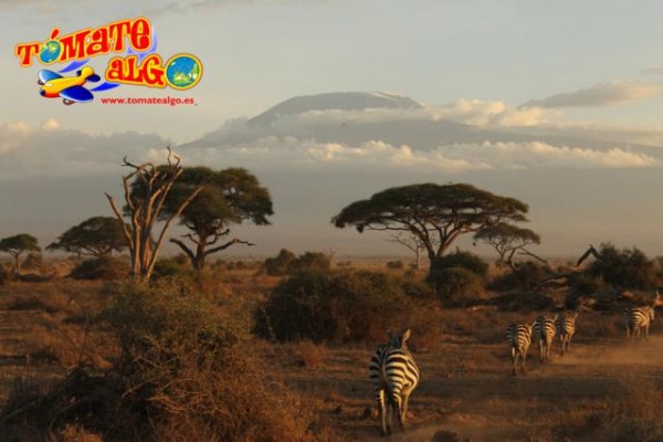 Vistas del Kilimanjaro desde Amboseli (viaje Kenya en 2014)